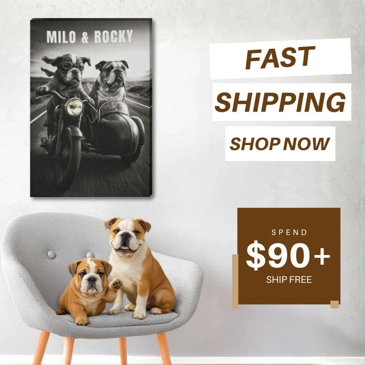Custom bulldog sidecar print motorcycle dog art hanging on the wall with fast shipping offer and two bulldogs on a chair.